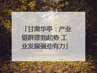 甘肃华亭：产业链群蓬勃起势 工业发展强劲有力