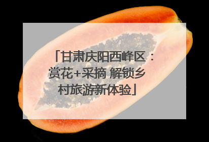 甘肃庆阳西峰区：赏花+采摘 解锁乡村旅游新体验