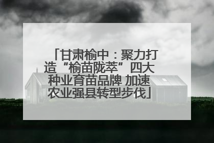 甘肃榆中：聚力打造“榆苗陇萃”四大种业育苗品牌 加速农业强县转型步伐