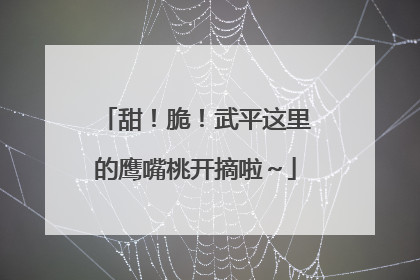 甜！脆！武平这里的鹰嘴桃开摘啦～