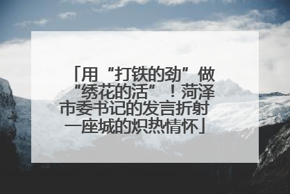 用“打铁的劲”做“绣花的活”！菏泽市委书记的发言折射一座城的炽热情怀