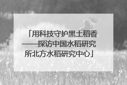 用科技守护黑土稻香——探访中国水稻研究所北方水稻研究中心