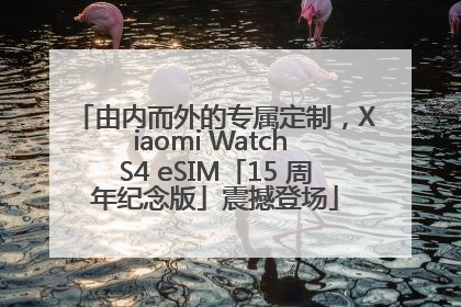 由内而外的专属定制，Xiaomi Watch S4 eSIM「15 周年纪念版」震撼登场