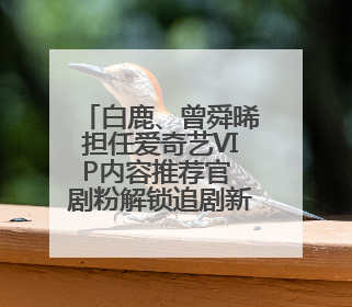 白鹿、曾舜晞担任爱奇艺VIP内容推荐官 剧粉解锁追剧新福利
