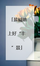 盐碱地上好“丰”景