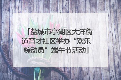 盐城市亭湖区大洋街道育才社区举办“欢乐粽动员”端午节活动