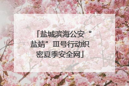 盐城滨海公安“盐靖”Ⅲ号行动织密夏季安全网