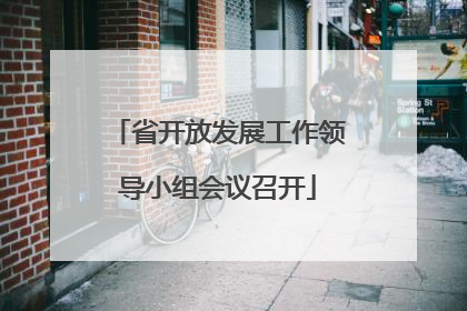 省开放发展工作领导小组会议召开