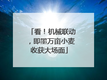 看！机械联动，即墨万亩小麦收获大场面