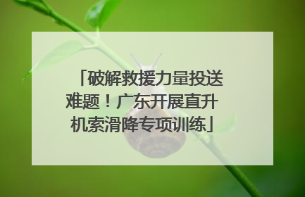 破解救援力量投送难题！广东开展直升机索滑降专项训练