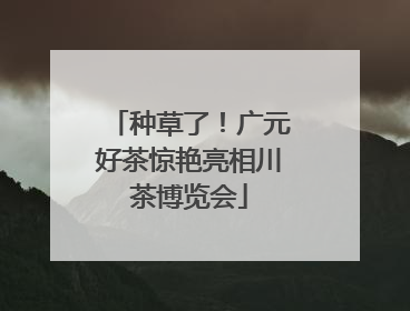 种草了！广元好茶惊艳亮相川茶博览会