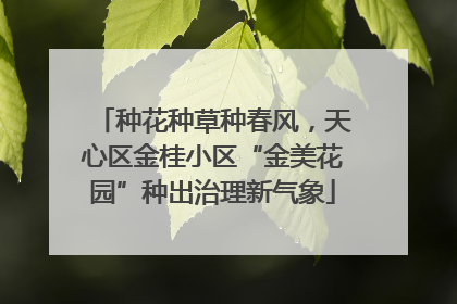 种花种草种春风，天心区金桂小区“金美花园”种出治理新气象