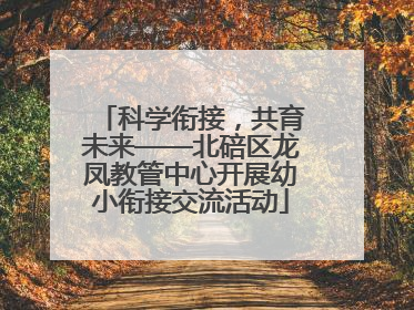 科学衔接，共育未来——北碚区龙凤教管中心开展幼小衔接交流活动
