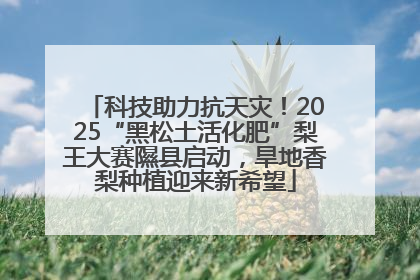 科技助力抗天灾！2025“黑松土活化肥”梨王大赛隰县启动，旱地香梨种植迎来新希望