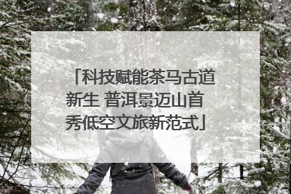 科技赋能茶马古道新生 普洱景迈山首秀低空文旅新范式