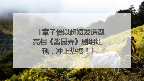 章子怡以超短发造型亮相《酱园弄》剧组红毯，冲上热搜！