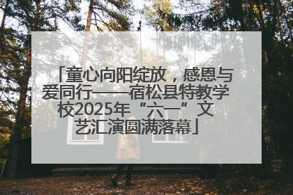 童心向阳绽放，感恩与爱同行——宿松县特教学校2025年“六一”文艺汇演圆满落幕