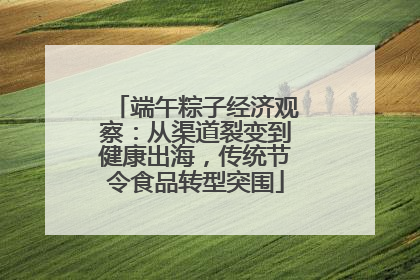 端午粽子经济观察：从渠道裂变到健康出海，传统节令食品转型突围
