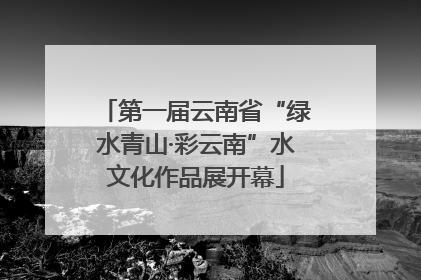 第一届云南省“绿水青山·彩云南”水文化作品展开幕