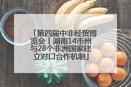 第四届中非经贸博览会丨湖南14市州与28个非洲国家建立对口合作机制