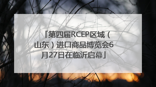 第四届RCEP区域（山东）进口商品博览会6月27日在临沂启幕