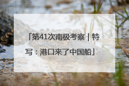 第41次南极考察｜特写：港口来了中国船