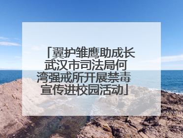 翼护雏鹰助成长 武汉市司法局何湾强戒所开展禁毒宣传进校园活动