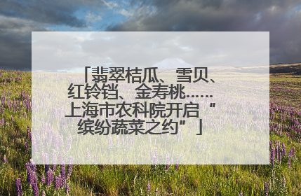 翡翠桔瓜、雪贝、红铃铛、金寿桃……上海市农科院开启“缤纷蔬菜之约”