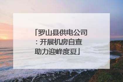 罗山县供电公司：开展机房自查 助力迎峰度夏