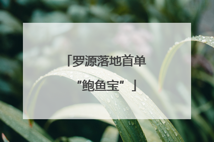 罗源落地首单“鲍鱼宝”