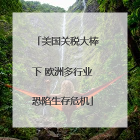 美国关税大棒下 欧洲多行业恐陷生存危机