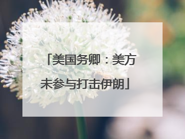 美国务卿：美方未参与打击伊朗