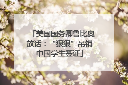 美国国务卿鲁比奥放话：“狠狠”吊销中国学生签证
