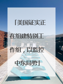 美国证实正在组建特别工作组，以监控中东局势