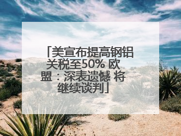 美宣布提高钢铝关税至50% 欧盟：深表遗憾 将继续谈判