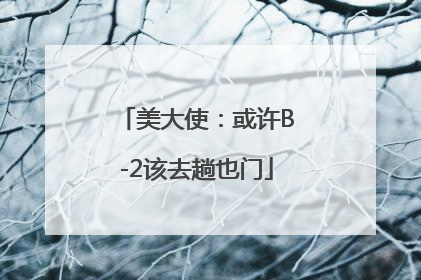 美大使：或许B-2该去趟也门