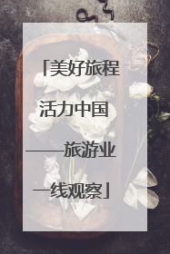 美好旅程 活力中国——旅游业一线观察