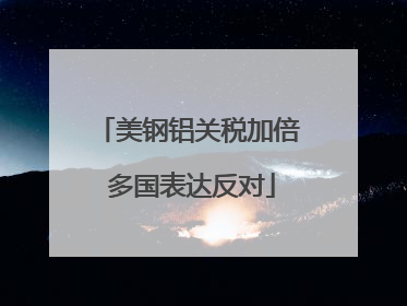 美钢铝关税加倍 多国表达反对