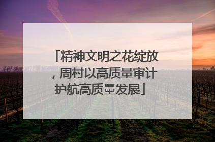 精神文明之花绽放，周村以高质量审计护航高质量发展