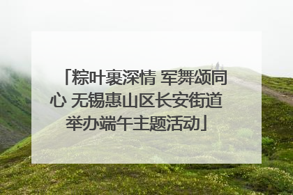 粽叶裹深情 军舞颂同心 无锡惠山区长安街道举办端午主题活动