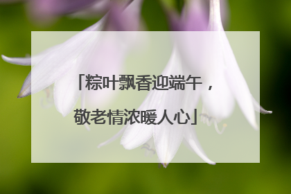 粽叶飘香迎端午，敬老情浓暖人心