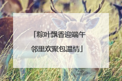 粽叶飘香迎端午 邻里欢聚包温情