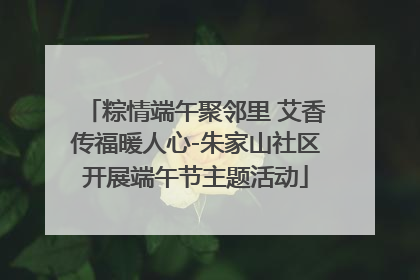 粽情端午聚邻里 艾香传福暖人心-朱家山社区开展端午节主题活动
