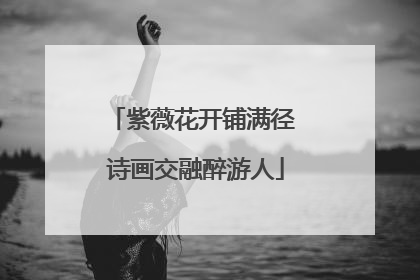 紫薇花开铺满径 诗画交融醉游人