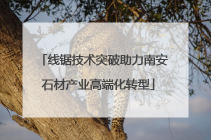 线锯技术突破助力南安石材产业高端化转型