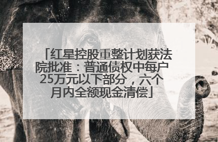 红星控股重整计划获法院批准：普通债权中每户25万元以下部分，六个月内全额现金清偿