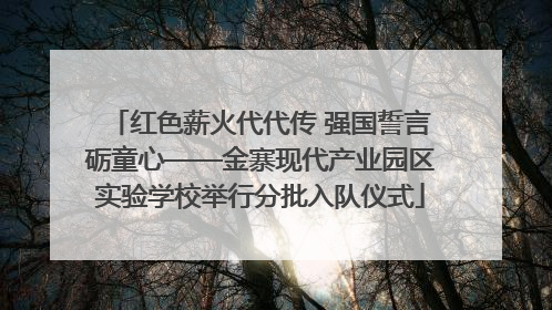 红色薪火代代传 强国誓言砺童心——金寨现代产业园区实验学校举行分批入队仪式