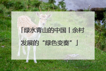 绿水青山的中国丨余村发展的“绿色变奏”