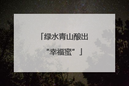 绿水青山酿出“幸福蜜”
