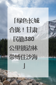 绿色长城合拢！甘肃民勤380公里锁边林带缚住沙海